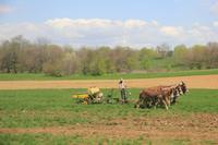 Lancaster - bei den Amischen