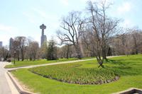 Niagara Falls - Blick zum Skylon Tower