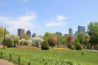 Boston - Public Garden