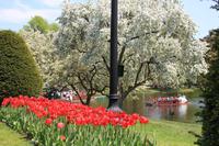 Boston - Public Garden