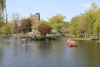 Boston - Public Garden