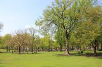 Boston - Boston Common