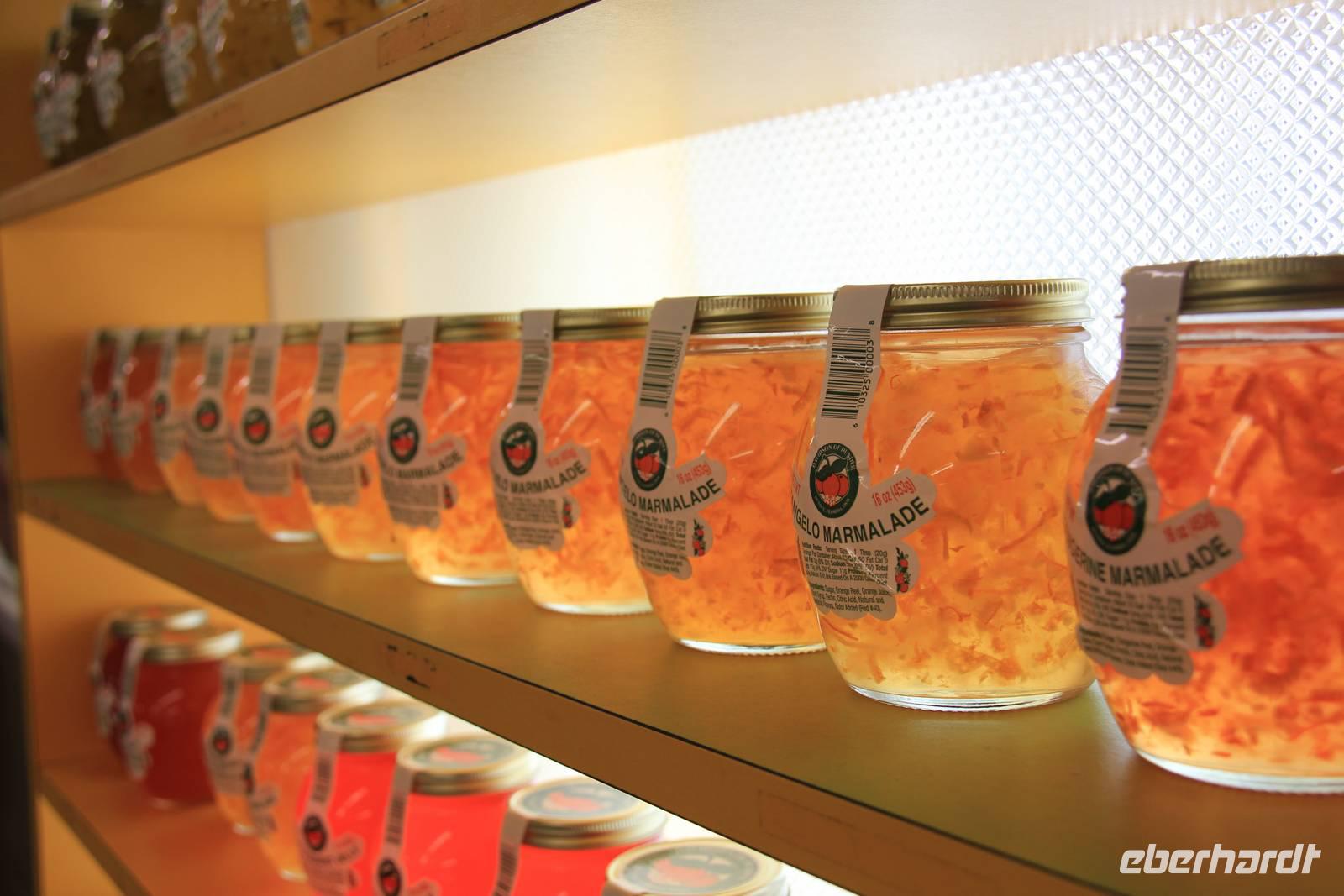 Florida - Citrus Candy and Jelly Factory