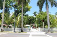 Fort Myers - Edison and Ford Estate