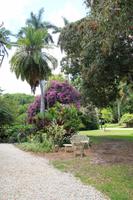 Fort Myers - Edison and Ford Estate