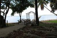 Fort Myers - Edison and Ford Estate