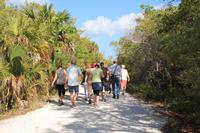 J.N. Ding Darling National Wildlife Refuge