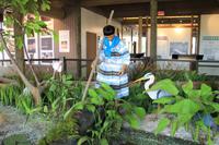 Miccobukee Indianer Dorf in den Everglades