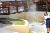 Indianer Dorf - Alligatorenshow