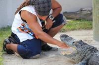 Indianer Dorf - Alligatorenshow