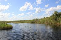 Propellerbootfahrt in den Everglades