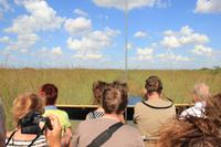 Propellerbootfahrt in den Everglades