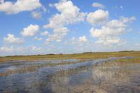 Propellerbootfahrt in den Everglades