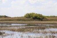 Propellerbootfahrt in den Everglades
