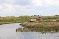 Propellerbootfahrt in den Everglades
