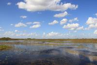 Propellerbootfahrt in den Everglades