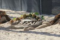 Miami Beach - Ocean Drive