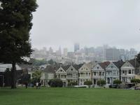 Alamo Square mit den Painted Ladies