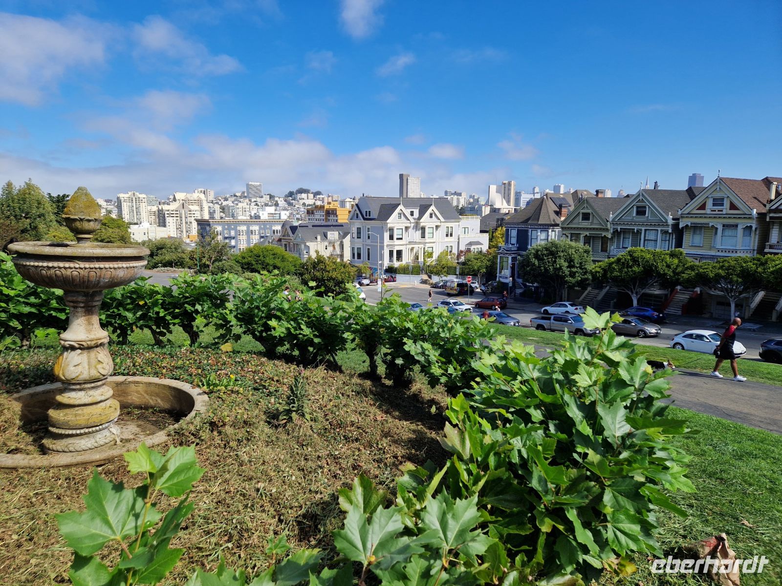 Alamo Square