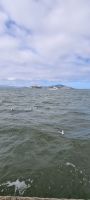 Alcatraz - San Francisco