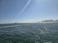 Alcatraz