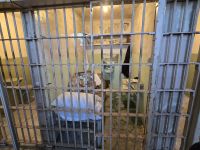 Alcatraz