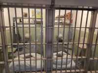 Alcatraz
