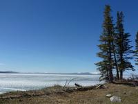 Am Lake Yellowstone