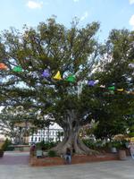 An der Olvera Street