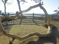 An der Promenade von Santa Monica