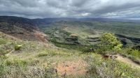 Ankunft in Nawiliwili auf Kauai