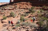 Arches N.P.