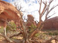 Arches Nationalpark