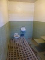 Auf Alcatraz