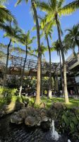 Baden am Waikiki Beach