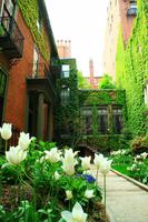 Beacon Hill