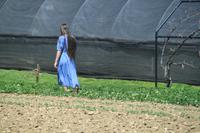Bei dem Amish