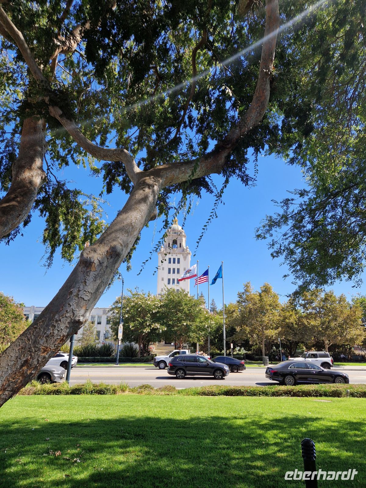 Beverly Hills 