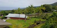 Big Island - Kaffeefarm