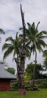 Big Island - Painted Church 