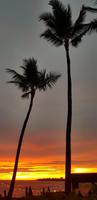 Big Island - Royal Kona Resort - Sonnenuntergang