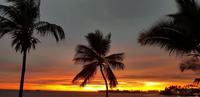 Big Island - Royal Kona Resort - Sonnenuntergang