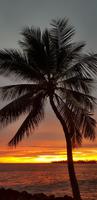 Big Island - Royal Kona Resort - Sonnenuntergang