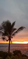 Big Island - Royal Kona Resort - Sonnenuntergang