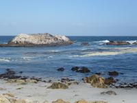 Bird Rock