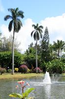 Botanischer Garten