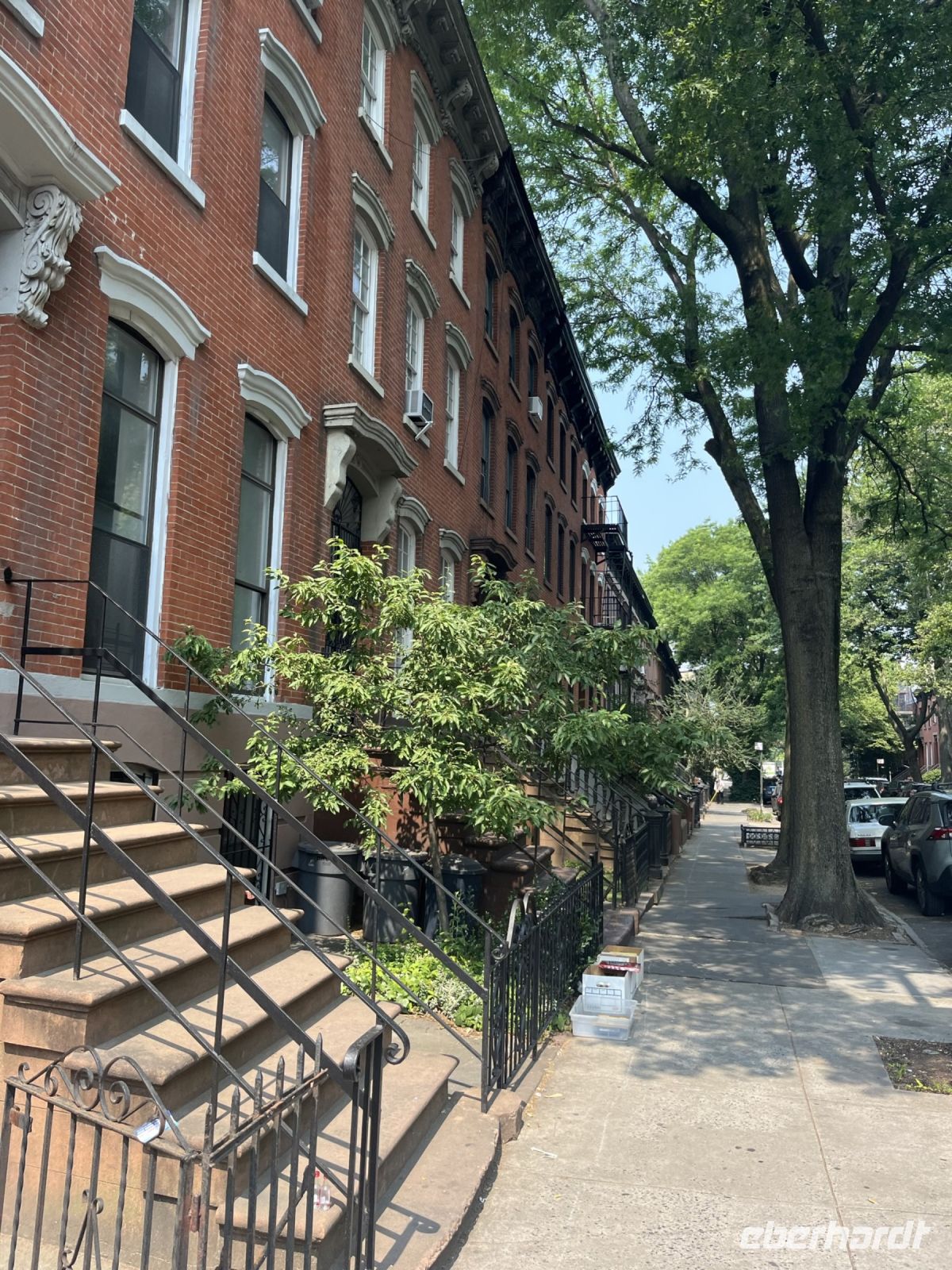 Brooklyn