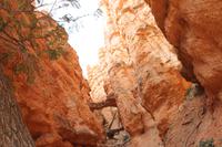 Bryce Canyon N.P.
