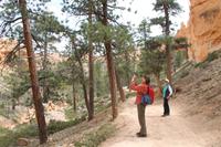 Bryce Canyon N.P.