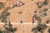 Bryce Canyon N.P.